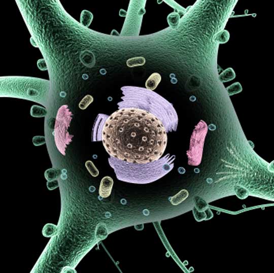 marriage and relationship counselling Sydney